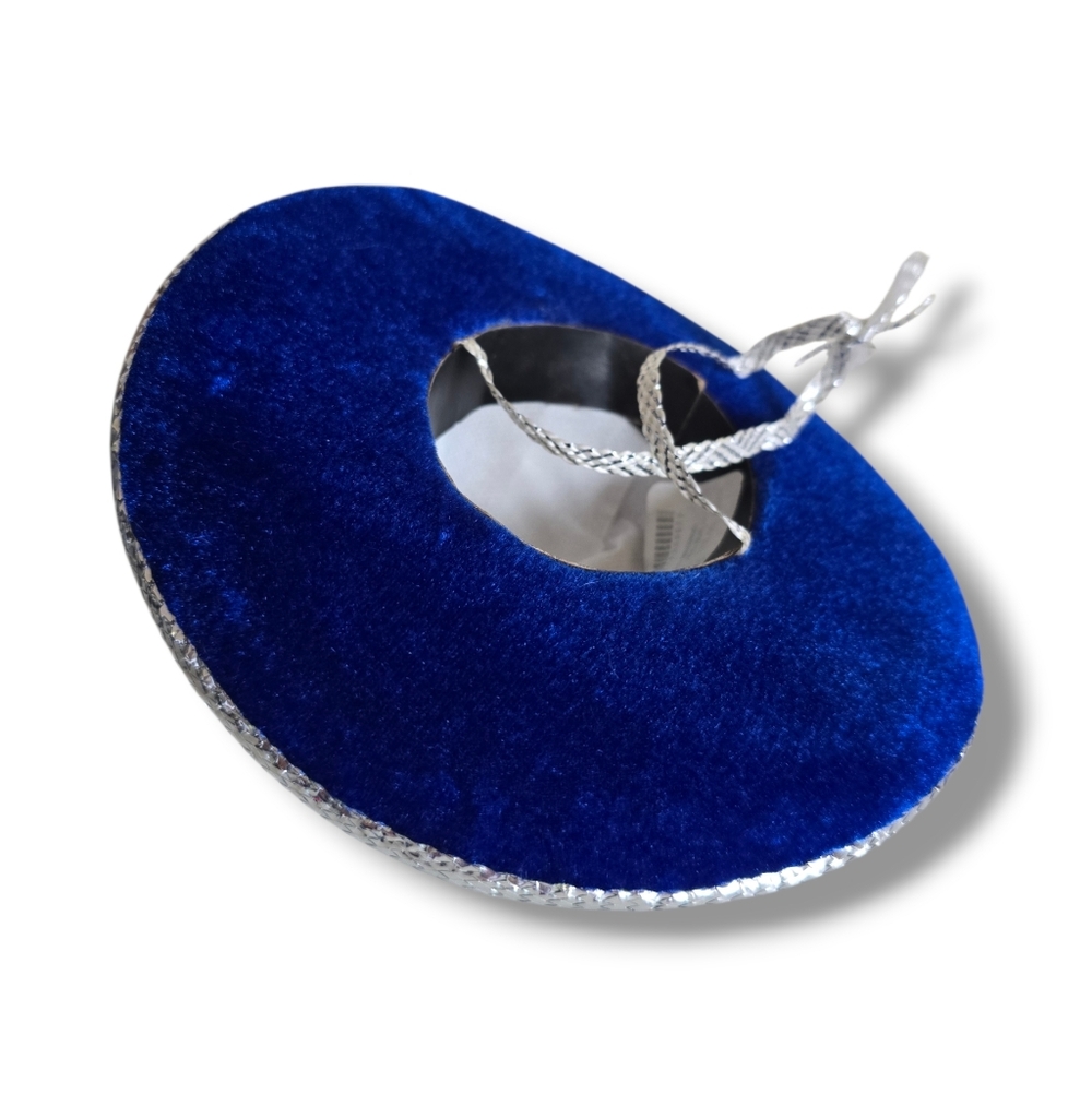 π Host Pick π Mexican Blue and Silver Small Dog Mini Sombrero - Picture 12 of 16